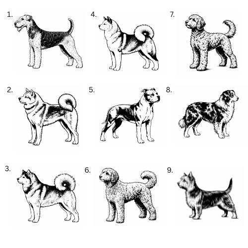 Personalisiertes Hunde-Saunathermometer | Eigener Name – über 99 Rassen