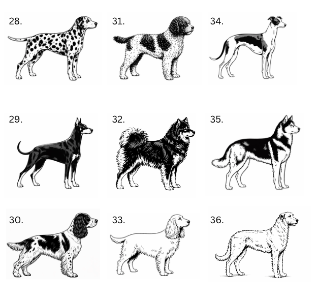 Personalisiertes Hunde-Saunathermometer | Eigener Name – über 99 Rassen