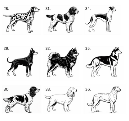 Personalisiertes Hunde-Saunathermometer | Eigener Name – über 99 Rassen