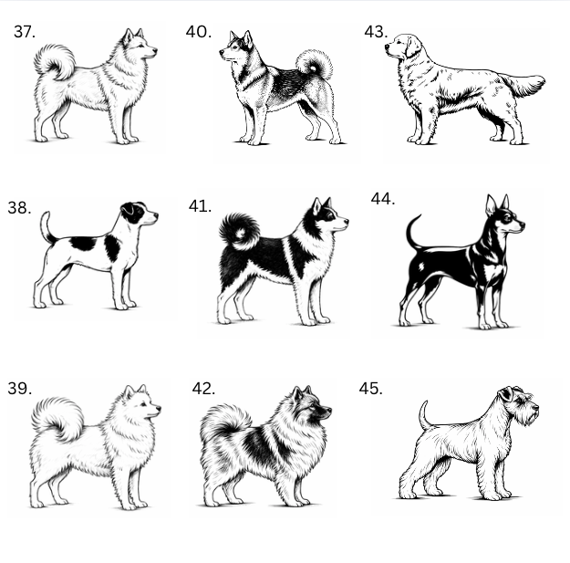Personalisiertes Hunde-Saunathermometer | Eigener Name – über 99 Rassen