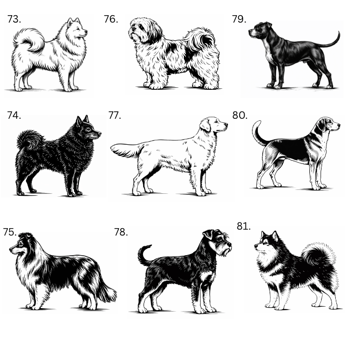 Personalisiertes Hunde-Saunathermometer | Eigener Name – über 99 Rassen